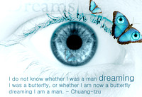 BOOK OF DREAMS